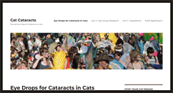 Desktop Screenshot of catcataracts.com