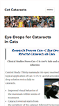 Mobile Screenshot of catcataracts.com