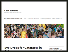 Tablet Screenshot of catcataracts.com